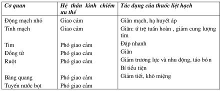 Loại phong bế hệ nicotinic của hạch