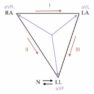 Đảo ngược LL / RL (N)