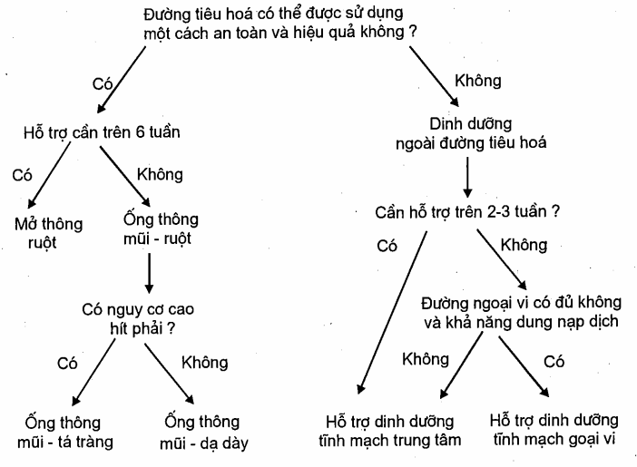 Cây quyết định các phương pháp hỗ trợ dinh dưỡng