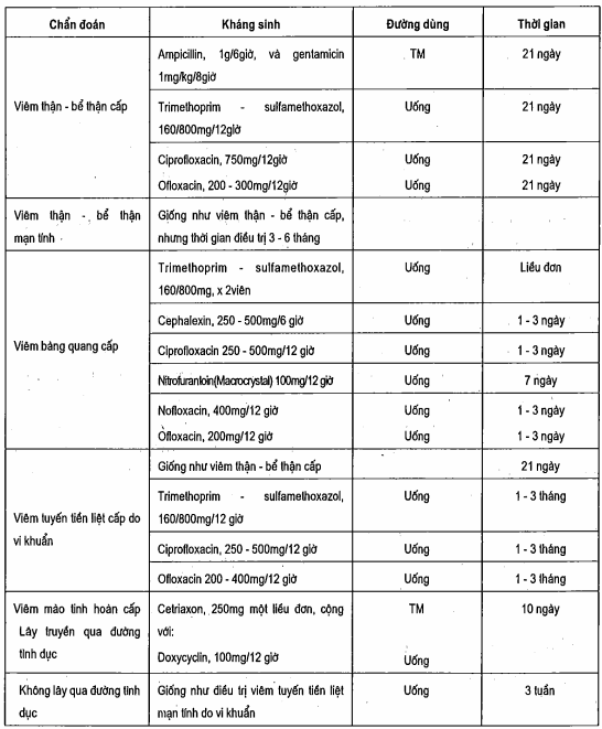 Điều trị theo kinh nghiệm các nhiễm trùng đường niệu