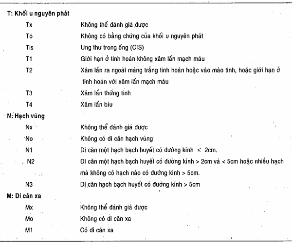Hệ thống phân loại TNM cho ung thư tinh hoàn