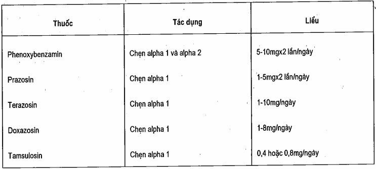 Thuốc chẹn alpha trong tăng sản tuyến tiền liệt lành tính