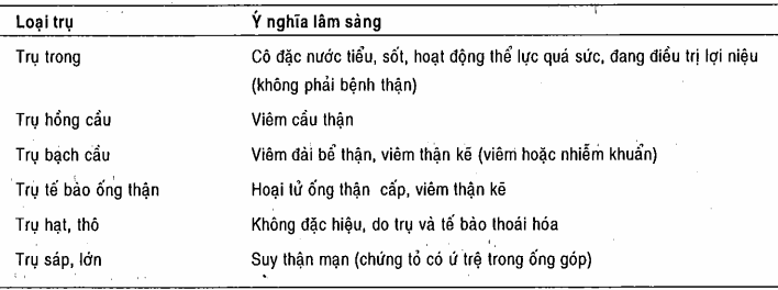 Ý nghĩa các loại trụ niệu