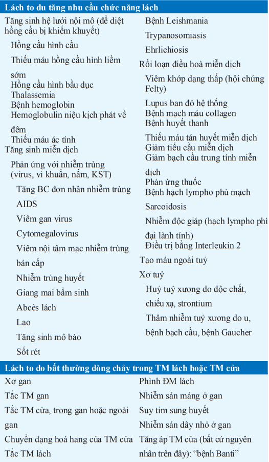 Bệnh liên quan đến lách to