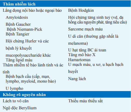 Bệnh liên quan đến lách to