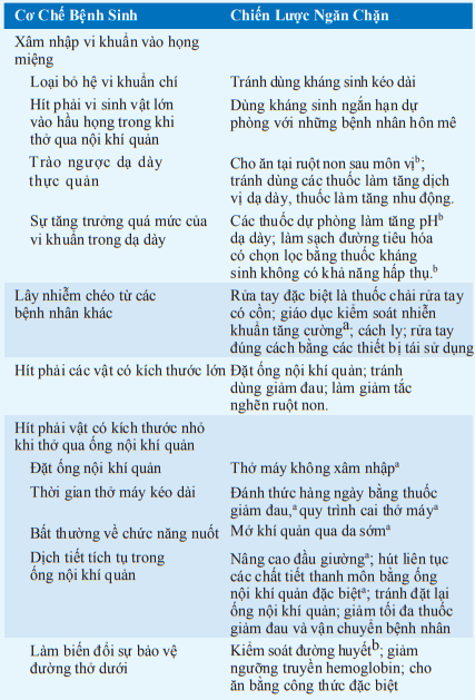 CƠ CHẾ BỆNH SINH VÀ CÁC CHIẾN LƯỢC NGĂN CHẶN VIÊM PHỔI DO THỞ MÁY