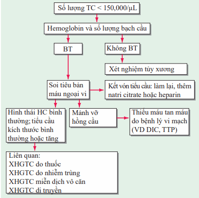 Đánh giá xuất huyết