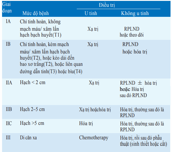 U tế bào mầm
