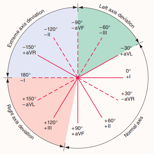 Hệ thống chuyển đạo trên ecg