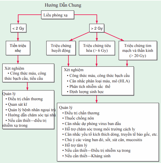 Hướng dẫn điều trị