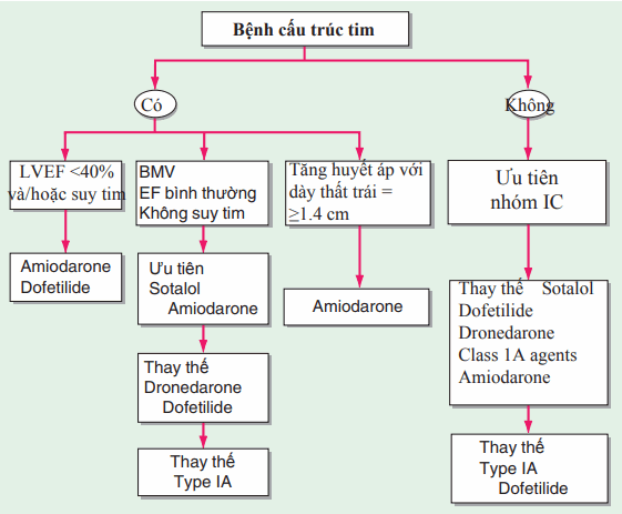 Khuyến cáo lựa chọn thuốc chống loạn nhịp