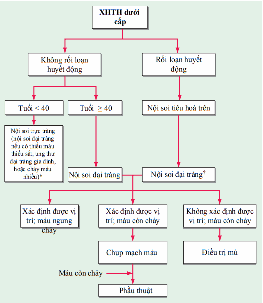 Xuất huyết tiêu hóa dưới cấp tính