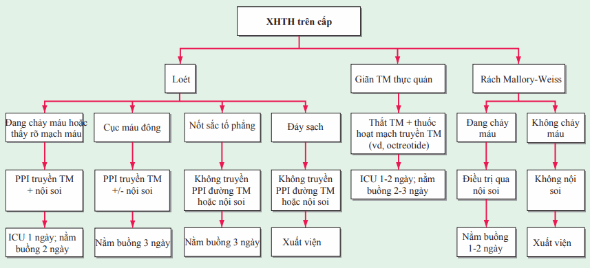 Xuất huyết tiêu hóa trên cấp