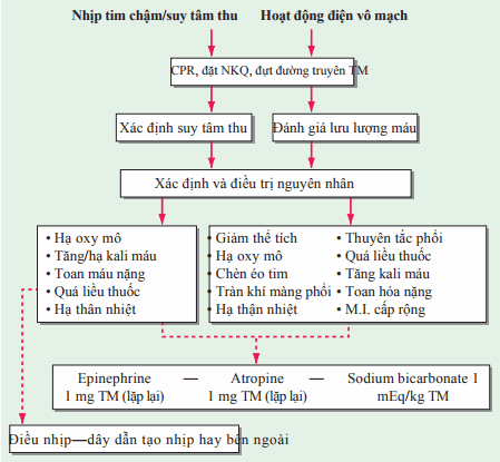 Nhịp chậm vô tâm thu