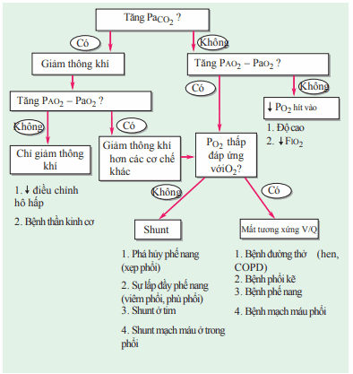 Tiếp cận chẩn đoán hạ ô xy máu