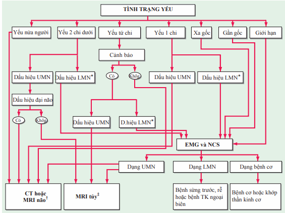 Đánh giá bệnh nhân yếu