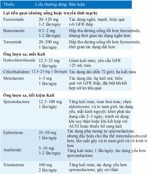 Các thuốc lợi tiểu