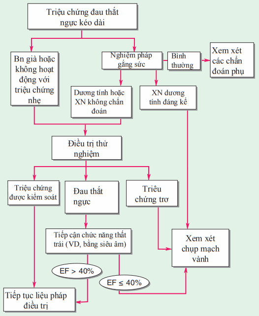 Vai trò nghiệm pháp gắng sức