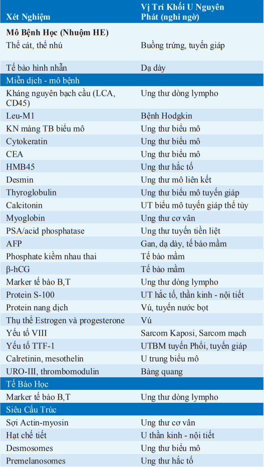 Xét nghiệm mẫu sinh thiết
