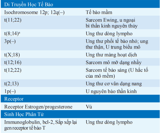 Xét nghiệm mẫu sinh thiết