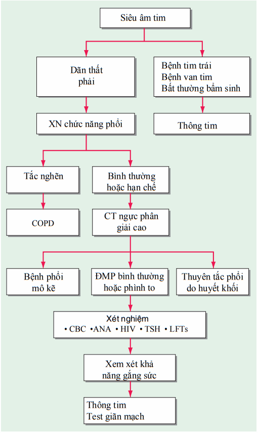 Xử trí bệnh nhân tăng áp mạch máu phổi