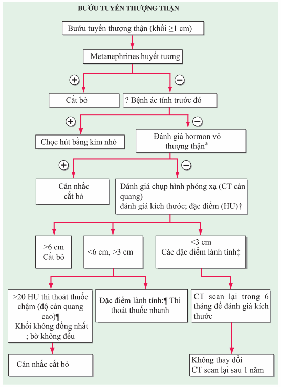 Bướu tuyến thượng thận