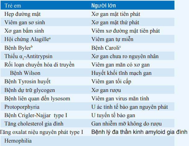 Chỉ định ghép gan