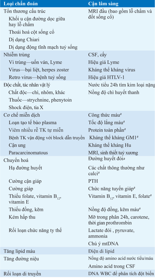 Nguyên nhân rối loạn thần kinh vận động