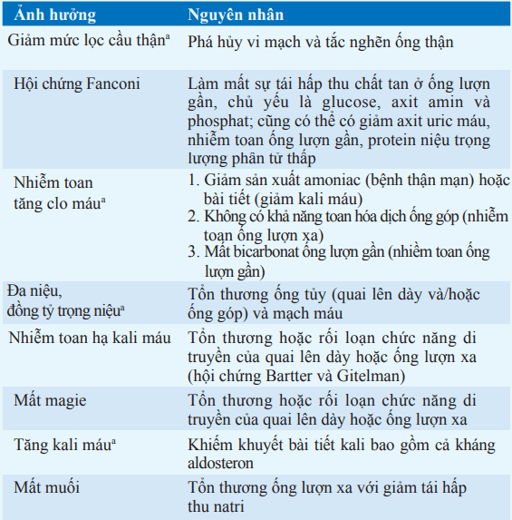 Rối loạn chức năng bệnh ống thận kẽ