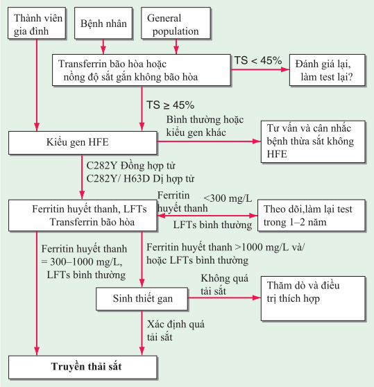 Sàng lọc bệnh thừa sắt