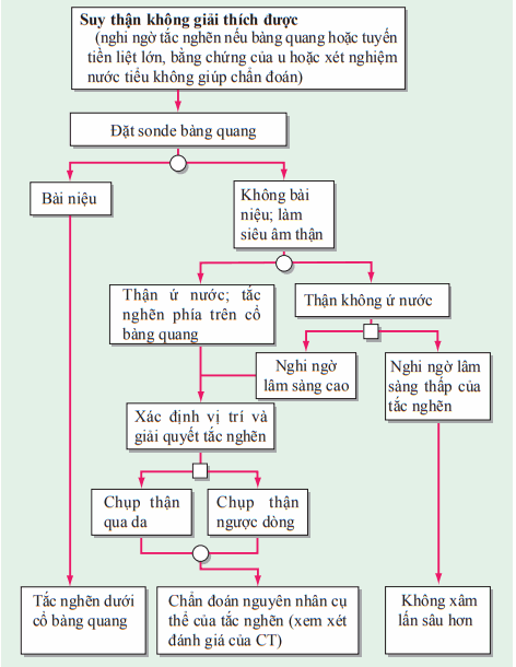 Chẩn đoán tắc nghẽn đường tiết niệu