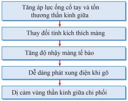 Cơ chế của nghiệm pháp tinel