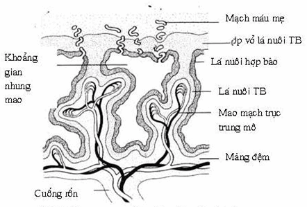 Nhung mao nhau cuối tuần thứ ba