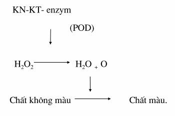 Phương pháp hóa sinh thường dùng