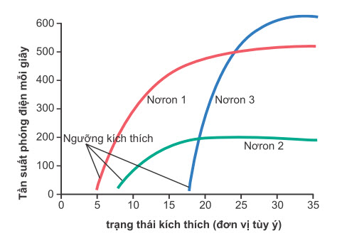 Đặc điểm đáp ứng của các loại tế bào thần kinh