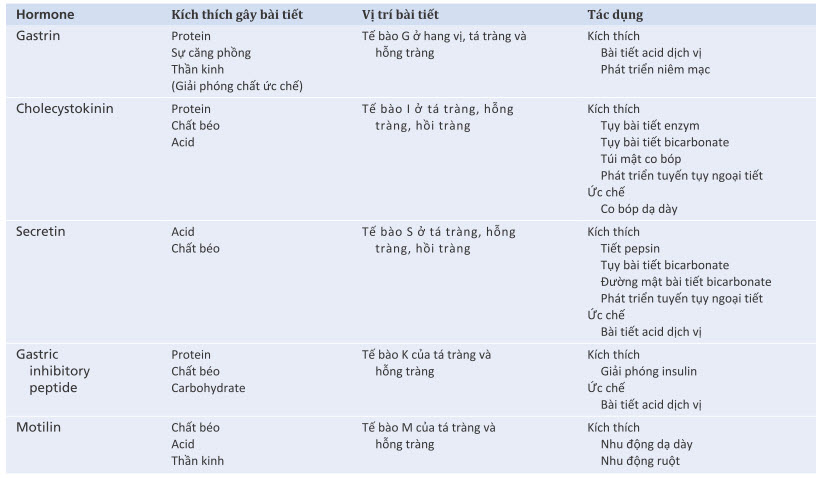 Hoạt động của hormone đường tiêu hóa