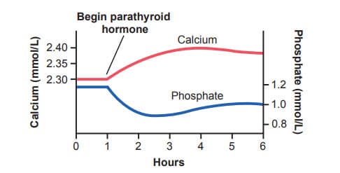 Ước lượng sự thay đổi nồng độ canxi và phosphate