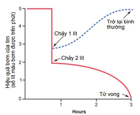 Hồi phục nhịp tim nhờ điều hòa ngược âm tính