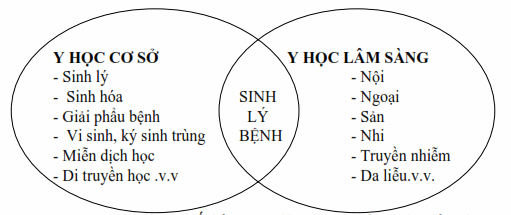 Mối liên quan giữa y học cơ sở và y học lâm sàng