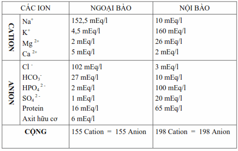 Nồng độ của các ion trong dịch nội và ngoại bào