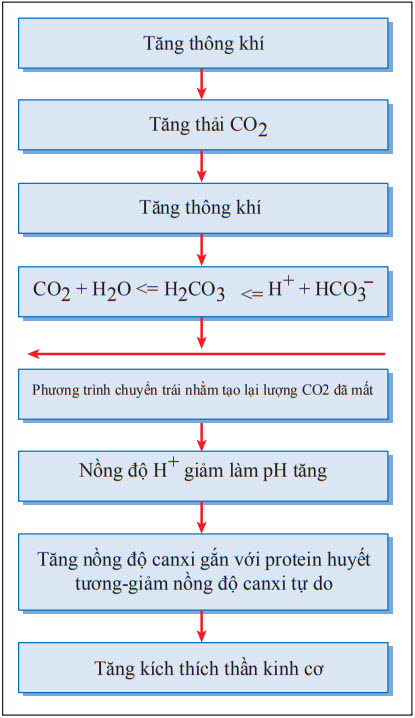 Cơ chế của dấu hiệu Chvostek trong tăng thông khí