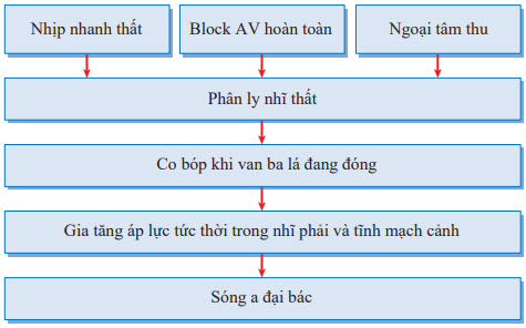 Cơ chế của sóng a đại bác