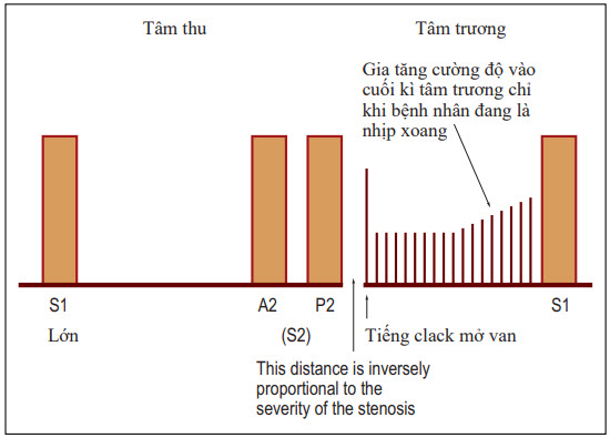 Thời gian và hình dạng của âm thổi hẹp van hai lá