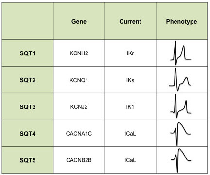 Phân loại SQTS theo kiểu gen
